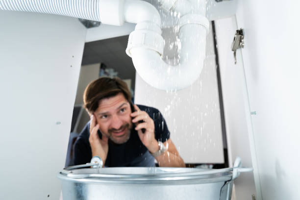 Best Affordable Plumber Near Me  in Beacon Hill, WA